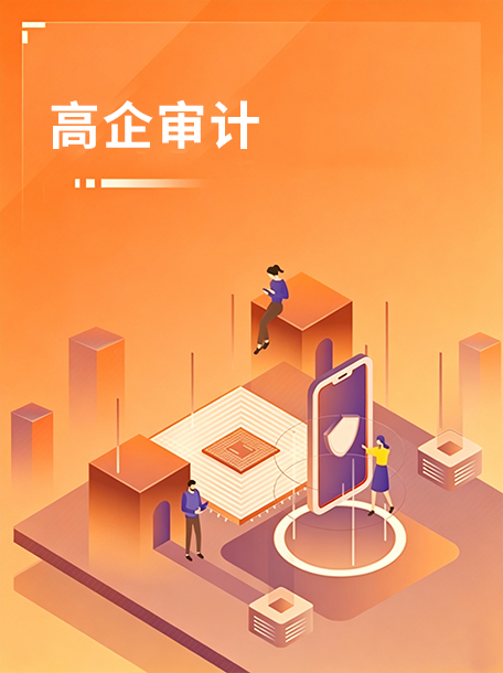 高企审计.jpg